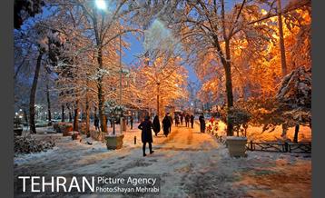 روز برفی در پارک لاله 10