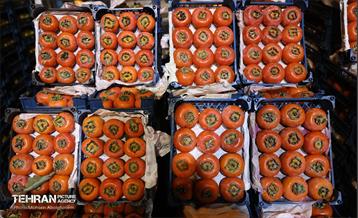 تره‌بار یلدایی 90