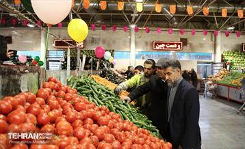 بازدید مدیرعامل سازمان تره‌وبار از میادین میوه 34