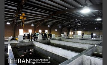 بازدید و افتتاح پروژه های عمرانی پایتخت با حضور شهردار تهران 13