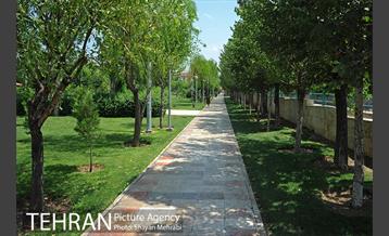 بوستان تمدن (گلبرگ) 20