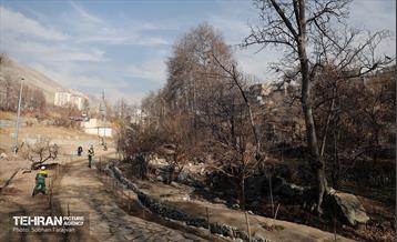 اینجا کارگاهه؛ اکو پارک فرحزاد 7