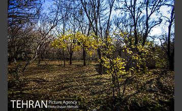 کوچه باغ های محله کن 8