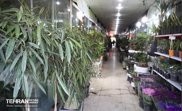 بازار گل شهید محلاتی در آخرین روزهاى سال 19