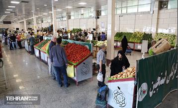 تور بازدید از میادین و بازارهای میوه و تره‌بار شهرداری تهران 40