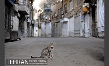 تعطیلی بازار تهران، برای جلوگیری از شیوع ویروس کرونا 20