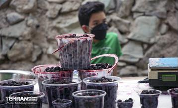 یک روز تعطیل در درکه 14