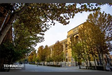 پاییز میدان مشق 1