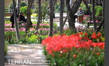 رویش گل های لاله در باغ ایرانی 15