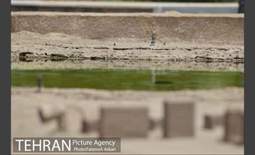 بوستان مینیاتور 16