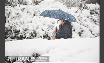 بارش برف زمستانی در تهران-2 33