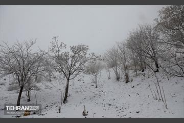 بارش برف زمستانی در تهران 16