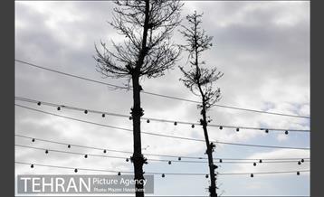 محله تجریش 2