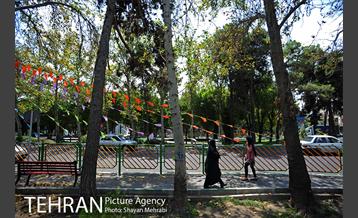 میدان هلال احمر 24