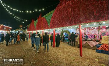 جشنواره انار در بوستان آب و آتش  9