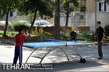 بوستان هفت چنار 16