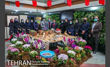 کارناوال عروسکی منطقه ۹