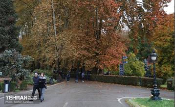 طبیعت پاییزی مجموعه فرهنگی تاریخی سعدآباد  8