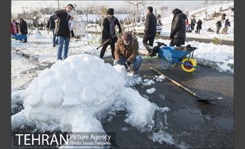 جشنواره مجسمه های برفی 12