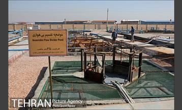 بازدید پذیرفته شدگان در آزمون دستیاران مدیرشهرداری تهران از مرکز آرادکوه 25