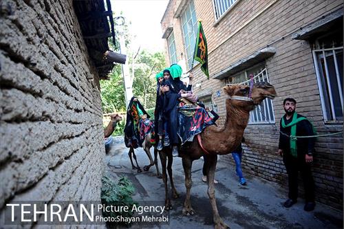 حرکت نمادین کاروان اُسرای کربلا در ده ونک 29