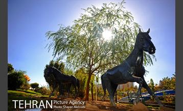 بوستان جوانمردان ایران 6