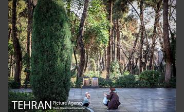 پارک شهر بعد از یک صبح بارانی 2