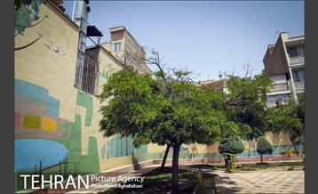 دیوارهای چشم نواز در منطقه 8