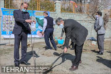 مراسم درختکاری به مناسبت یادبود همکاران جانباخته کرونا در شهرداری تهران 35