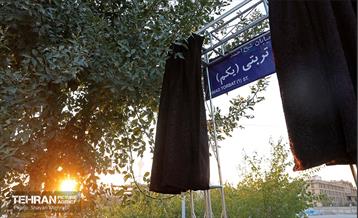 بزرگداشت و پلاک‌کوبی خیابان شهید شیخ احمد تربتی 2