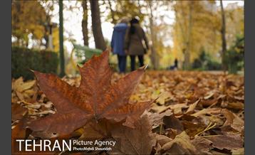 بوستان اندیشه(شهید منفرد نیاکی) 14