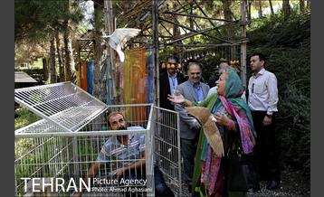 افتتاح اولین "باغچه خبر" در تهران 4