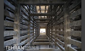 کارخانه سیمان شهر ری 13