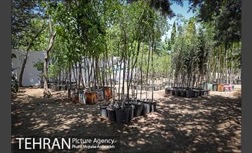 آیین افتتاحیه سه طرح مدیریت پسماند در منطقه ۵