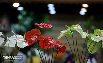نوزدهمین نمایشگاه گل و گیاه تهران 25