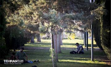 مراسم دعای روز عرفه در دانشگاه تهران 7