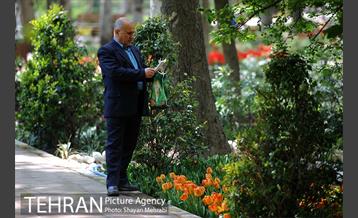 رویش گل های لاله در باغ ایرانی 44