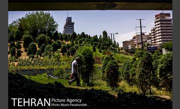 بزرگراه همت 14