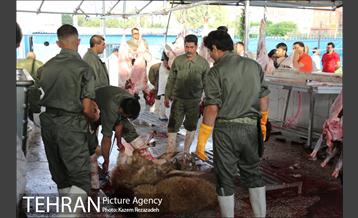 عرضه دام زنده در منطقه 19 شهرداری تهران 4