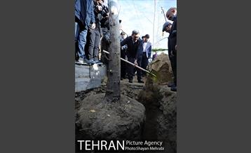 آیین کاشت 40 اصله درخت، به مناسبت چهلمین سالگرد انقلاب اسلامی باحضور شهردار تهران 14