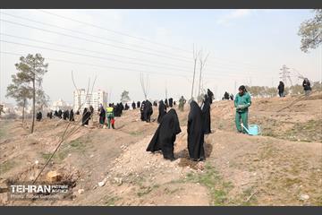 غرس ۲۷۸۲ نهال در سرخه‌حصار به یاد درگذشتگان جامعه پزشکی 10