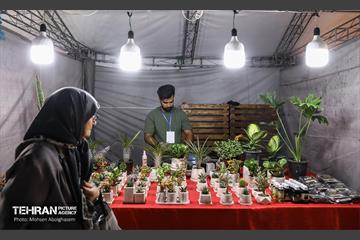 افتتاح جشنواره اقوام و گذر گردشگری دارالمومنین تهران 24