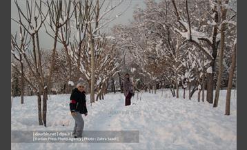 محله ده ونک در روزهای برفی تهران 9