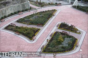 شب های آرام تهران 1