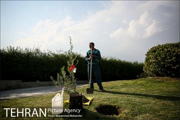 آئین درخت کاری به مناسبت تولد گاندی 19