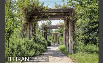 تنفس طبیعت زیبای منطقه ۷ در روزهای حضور کمرنگ شهروندان 2