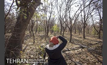 تور عکاسی آژانس عکس تهران در محله کن و سولقان 18