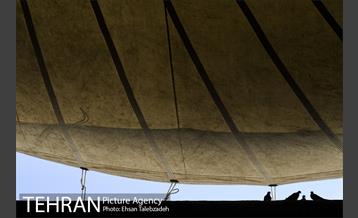 تکیه گردی احمد مسجد جامعی 52