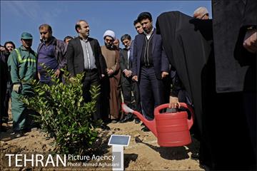 روز درختکاری در بوستان تبسم 8
