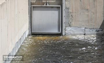 شصت‌وسومین پویش امید و افتخار 18